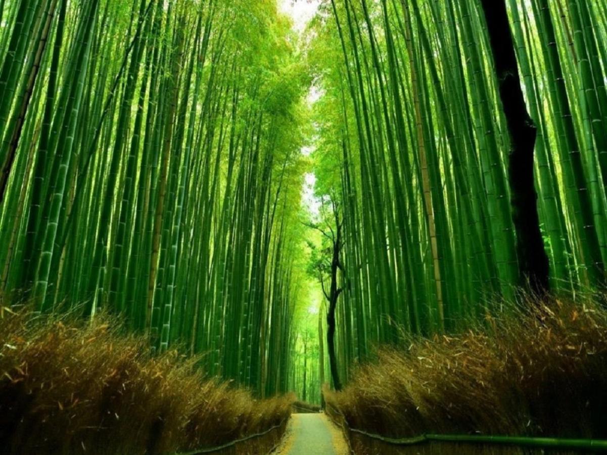 行灯離れ京都五条 Andon Hanare Kyoto Gojo מראה חיצוני תמונה